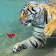 Illustration for article titled Underwater Tiger Is Terrifying, Beautiful
